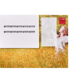 QuWikiBOARD 10