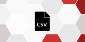 Read more about the article QuWiki – Prozess: CSV Dateien erstellen